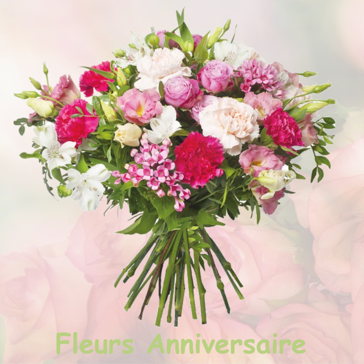 fleurs anniversaire MIRAVAL-CABARDES